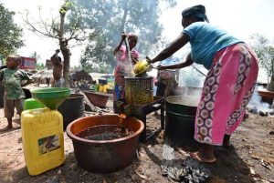 How to start palm oil business in Nigeria