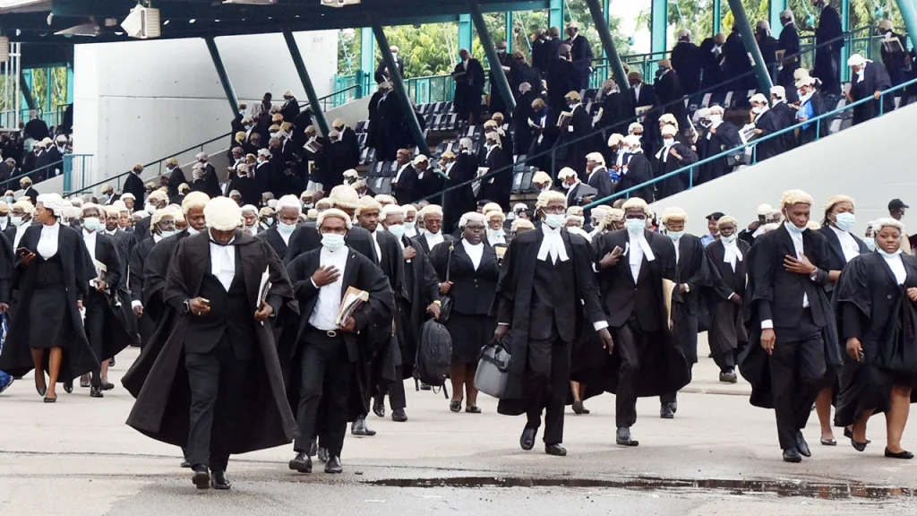 lawyers0