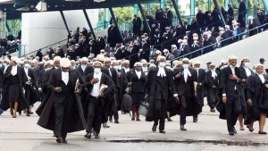 lawyers0